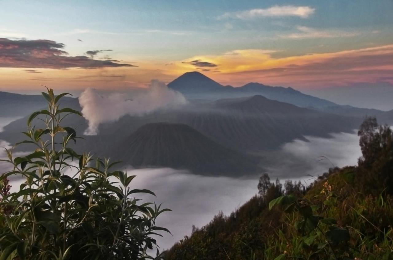 Plataran Bromo Hotel Exterior foto